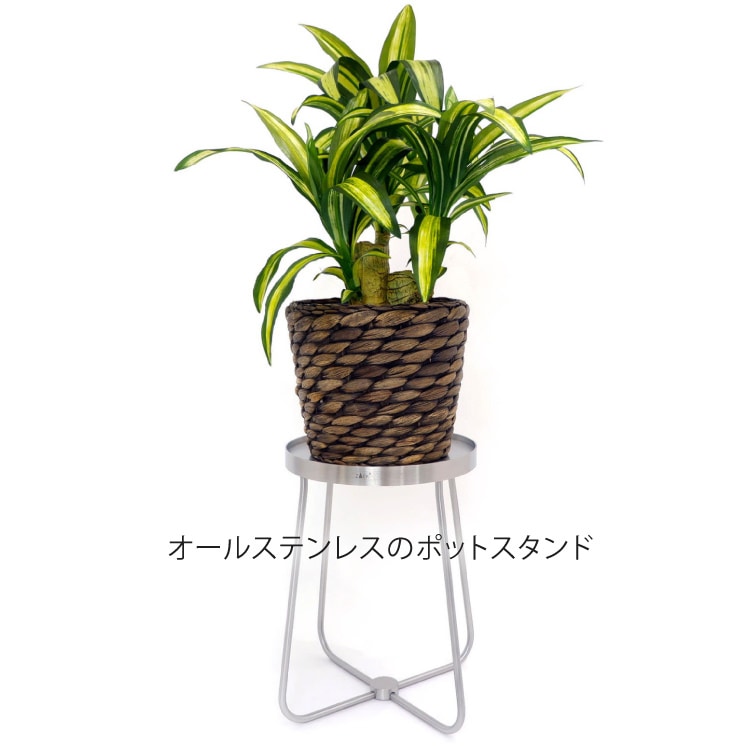 ZACK 30635 PLATENA ドイツZACK社製モダンデザインのフラワーポットスタンドS HL [お取寄せ]H2-561