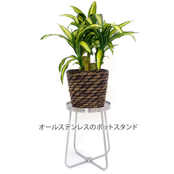 ZACK 30635 PLATENA ドイツZACK社製モダンデザインのフラワーポットスタンドS HL [お取寄せ]H2-561
