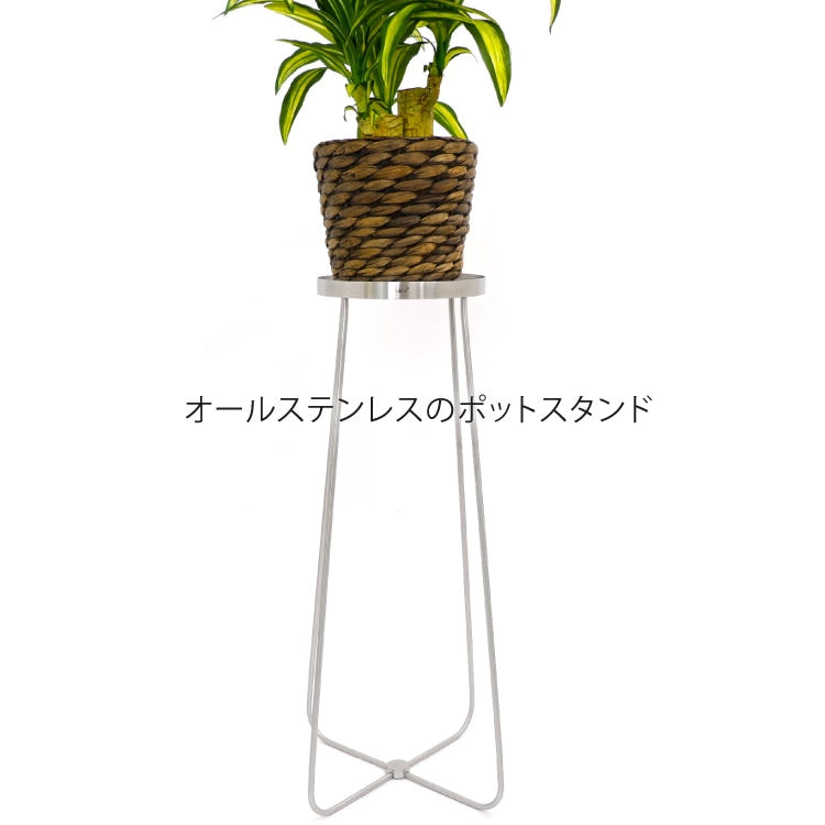 ZACK 30636 PLATENA ドイツZACK社製モダンデザインのフラワーポットスタンドL HL [お取寄せ]H2-591