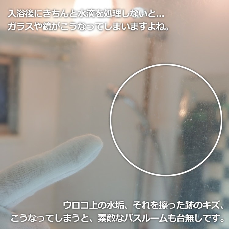ZACK 40082 JAZ ドイツZACK社製モダンデザインのバスルームスクイージーS MP [在庫有り]