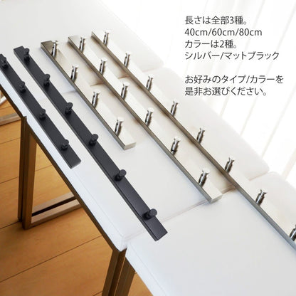 ZACK 50657 ACCOLO ドイツZACK社製モダンデザインのコートラック 壁付けタイプ DIY HL [在庫有り]