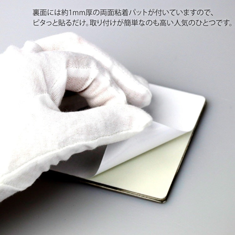 ZACK 50712 INDICI ドイツZACK社製モダンデザインのピクトグラム(男女兼用トイレ表示板) HL [在庫有り]