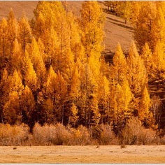 IGREBOW 写真の正方形トリミング（作品全体・額装は後続画像）