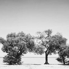 IGREBOW 写真の正方形トリミング（作品全体・額装は後続画像）