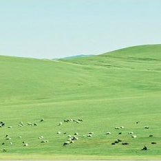 IGREBOW 写真の正方形トリミング（作品全体・額装は後続画像）