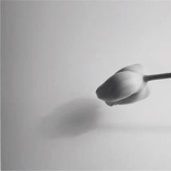 IGREBOW 写真の正方形トリミング（作品全体・額装は後続画像）