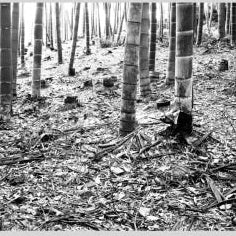 IGREBOW 写真の正方形トリミング（作品全体・額装は後続画像）