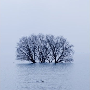 IGREBOW 写真の正方形トリミング（作品全体・額装は後続画像）