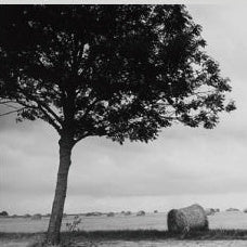 IGREBOW 写真の正方形トリミング（作品全体・額装は後続画像）