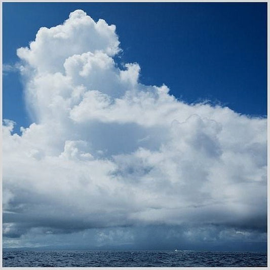 IGREBOW 写真の正方形トリミング（作品全体・額装は後続画像）