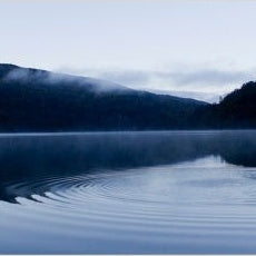IGREBOW 写真の正方形トリミング（作品全体・額装は後続画像）