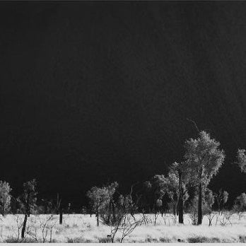 IGREBOW 写真の正方形トリミング（作品全体・額装は後続画像）