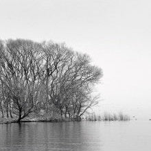 IGREBOW 写真の正方形トリミング（作品全体・額装は後続画像）