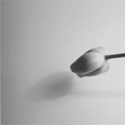 IGREBOW 写真の正方形トリミング（作品全体・額装は後続画像）