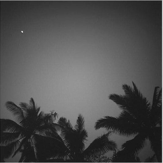IGREBOW 写真の正方形トリミング（作品全体・額装は後続画像）