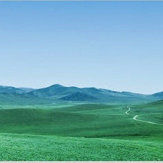 IGREBOW 写真の正方形トリミング（作品全体・額装は後続画像）