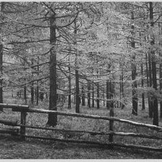 IGREBOW 写真の正方形トリミング（作品全体・額装は後続画像）