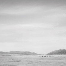 IGREBOW 写真の正方形トリミング（作品全体・額装は後続画像）