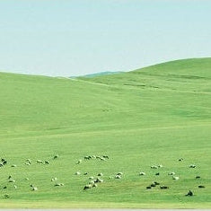 IGREBOW 写真の正方形トリミング（作品全体・額装は後続画像）