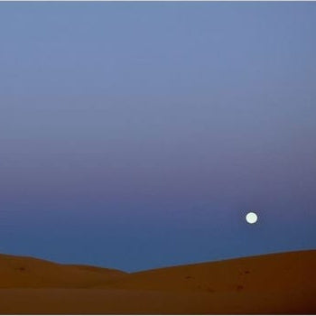IGREBOW 写真の正方形トリミング（作品全体・額装は後続画像）