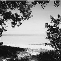IGREBOW 写真の正方形トリミング（作品全体・額装は後続画像）