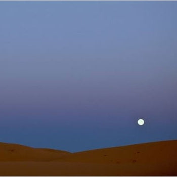 IGREBOW 写真の正方形トリミング（作品全体・額装は後続画像）