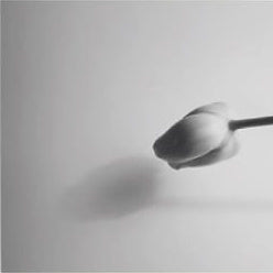 IGREBOW 写真の正方形トリミング（作品全体・額装は後続画像）