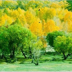 IGREBOW 写真の正方形トリミング（作品全体・額装は後続画像）