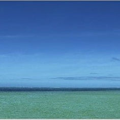 IGREBOW 写真の正方形トリミング（作品全体・額装は後続画像）