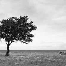 IGREBOW 写真の正方形トリミング（作品全体・額装は後続画像）