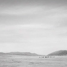 IGREBOW 写真の正方形トリミング（作品全体・額装は後続画像）