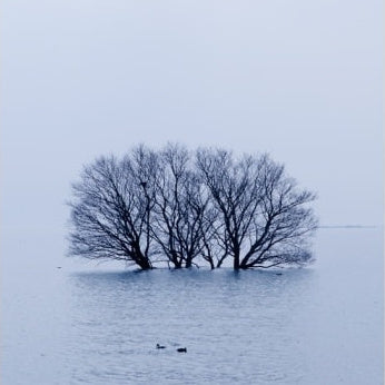 IGREBOW 写真の正方形トリミング（作品全体・額装は後続画像）