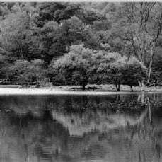 IGREBOW 写真の正方形トリミング（作品全体・額装は後続画像）
