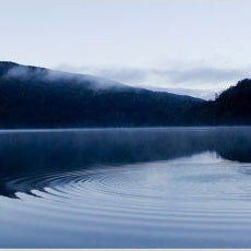 IGREBOW 写真の正方形トリミング（作品全体・額装は後続画像）