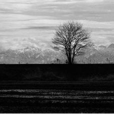 IGREBOW 写真の正方形トリミング（作品全体・額装は後続画像）