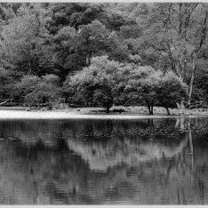 IGREBOW 写真の正方形トリミング（作品全体・額装は後続画像）