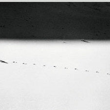 IGREBOW 写真の正方形トリミング（作品全体・額装は後続画像）