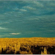 IGREBOW 写真の正方形トリミング（作品全体・額装は後続画像）