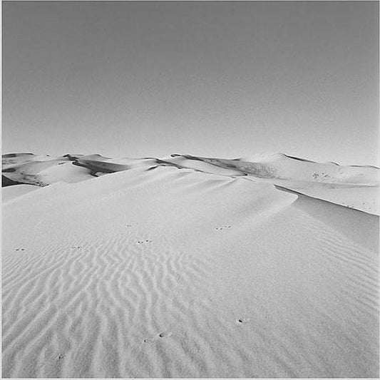 IGREBOW 写真の正方形トリミング（作品全体・額装は後続画像）
