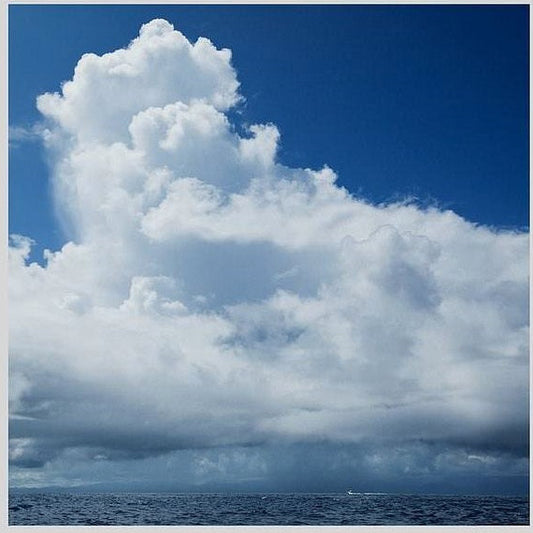 IGREBOW 写真の正方形トリミング（作品全体・額装は後続画像）