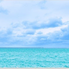 IGREBOW 写真の正方形トリミング（作品全体・額装は後続画像）
