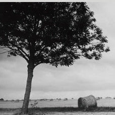 IGREBOW 写真の正方形トリミング（作品全体・額装は後続画像）