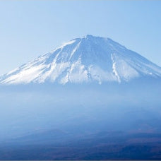 IGREBOW 写真の正方形トリミング（作品全体・額装は後続画像）