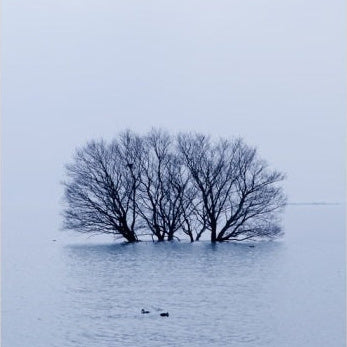 IGREBOW 写真の正方形トリミング（作品全体・額装は後続画像）