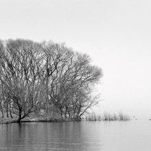 IGREBOW 写真の正方形トリミング（作品全体・額装は後続画像）