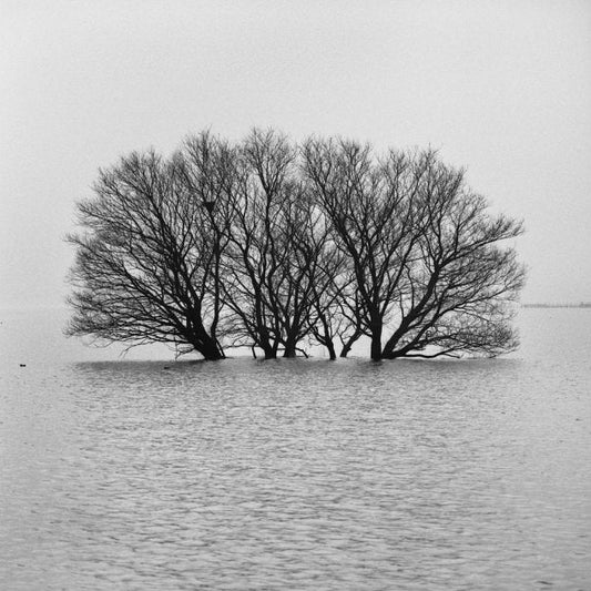 IGREBOW 写真の正方形トリミング（作品全体・額装は後続画像）