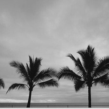 IGREBOW 写真の正方形トリミング（作品全体・額装は後続画像）