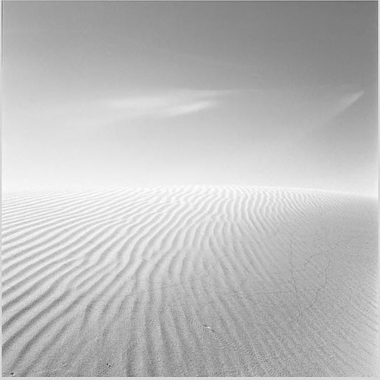 IGREBOW 写真の正方形トリミング（作品全体・額装は後続画像）