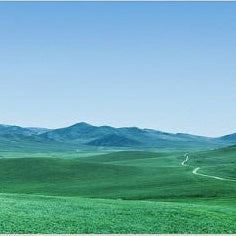 IGREBOW 写真の正方形トリミング（作品全体・額装は後続画像）
