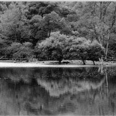 IGREBOW 写真の正方形トリミング（作品全体・額装は後続画像）